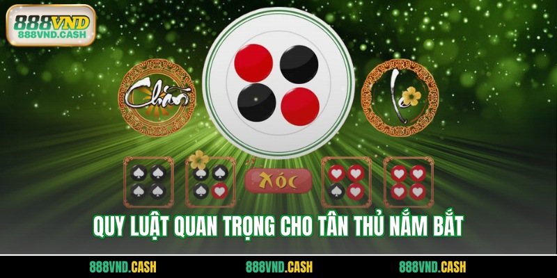 Quy luật quan trọng cho tân thủ nắm bắt
